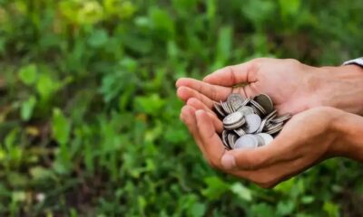 5 Desafios no Financiamento Rural e Oportunidades no Agro