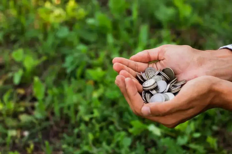 5 Desafios no Financiamento Rural e Oportunidades no Agro