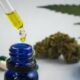 Salvo-conduto: maconha medicinal descomplicada em 2025