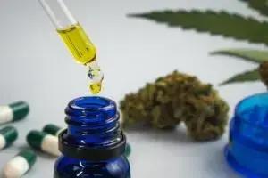 Salvo-conduto: maconha medicinal descomplicada em 2025